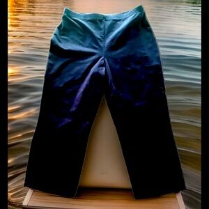 💙WOMEN with CONTROL💙 TUMMY SLIMMING CAPRI PANTS NWOT❣️